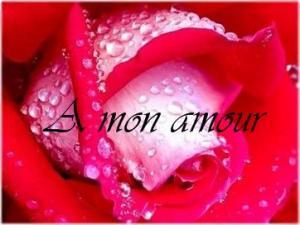a mon amour
